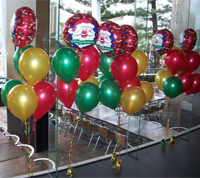Balloon Modeller Carrigaline