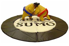 Sumo Wrestling Suits Carrigaline